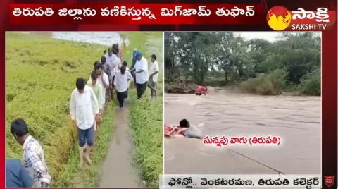 Huge Crop Loss Due To Cyclone Michaung