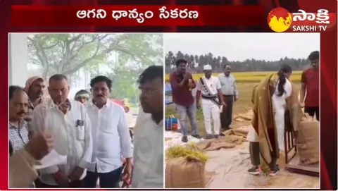 AP Government Purchasing Of Paddy From Rain Affected Farmers
