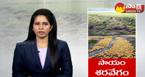 CM YS Jagan Key Orders On Cyclone Michaung Relief Measures