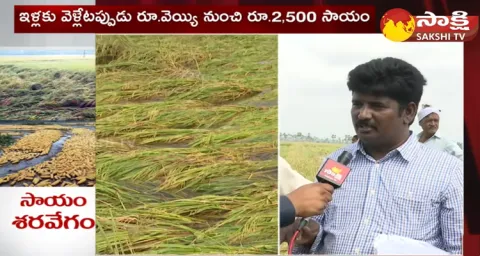 Officials Are Assessing The Crop Loss In Bapatla District