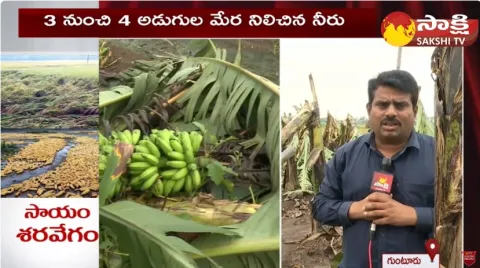 Agriculture Department Officials Calculating Migjaum Cyclone Loss ​in Guntur District 