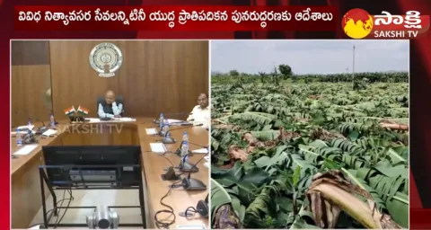 AP CS Jawahar Reddy Review Meeting On Crop Loss And Input Subsidy