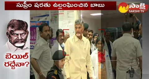 Chandrababu Given Clarity On His Skill Development Scam