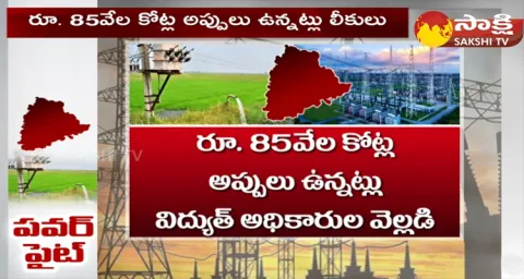Huge Borrowings In Telangana Power Corporation