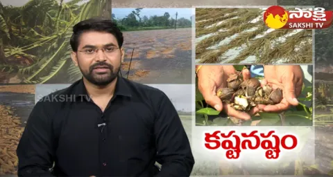 Huge Loss To AP Farmers With Michaung Cyclone