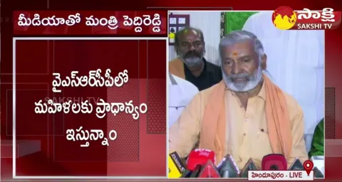 Minister Peddireddy Ramachandra Reddy Fires On Chandrababu 