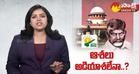 Supreme Court Judgement On Chandrababu Arrest 