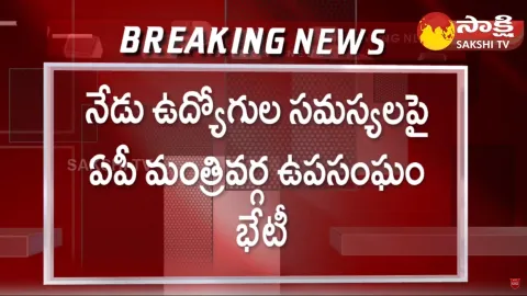 AP Cabinet Subcommittee to Meet on Employees Problems