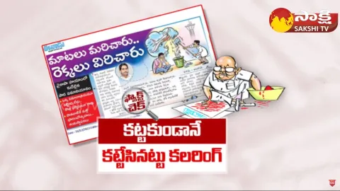 Eenadu Ramoji Rao Fake News on AP Airports