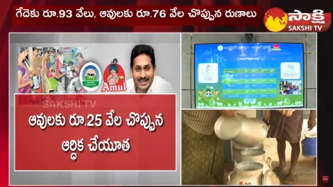 Jagananna Paala Velluva: Dairy Farmers Who Give Milk to Amul Has Tripled in Size