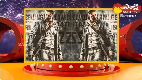 What is the Reason for Sudden OTT Release of Salaar