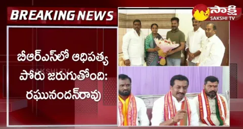 BJP Leader Raghunandan Rao Comments On BRS Party 