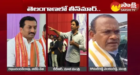 Telangana Political Leaders Comments 