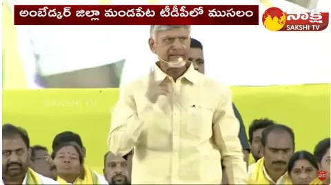 Balakrishna Warning to Chandrababu