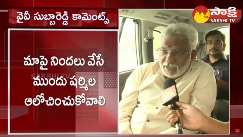 YV Subba Reddy Comments On AP Chief Congress Sharmila