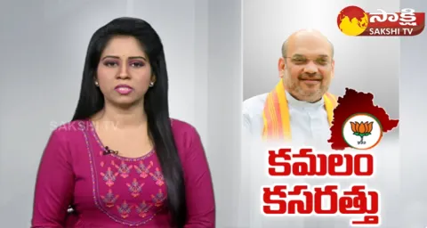 Telanagna BJP Focus On Parliament Election In Telangana 