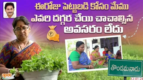Beneficiaries About YSR Aasara and YSR Cheyutha In Andhra Pradesh
