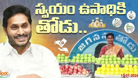 Jagananna Thodu Scheme In Andhra Pradesh