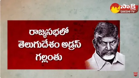 TDP Chandrababu Dilemma Over Rajya Sabha Election 2024