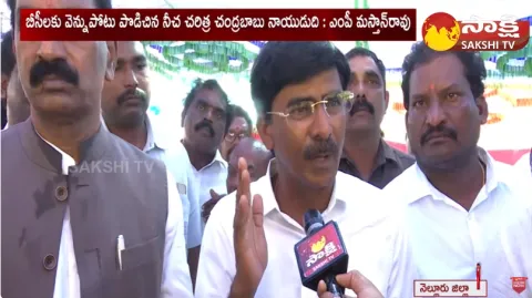MLA Ramireddy Pratap Kumar Reddy and Beeda Masthan Rao Comments on Chandrababu