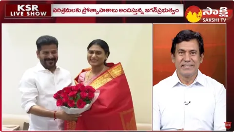 BJP Leader Parthasarathy Comments on YS Sharmila