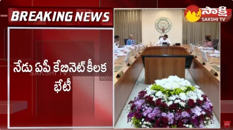 AP Cabinet to Approval for Investments of 22 Thousand Crores in Fuel Industry