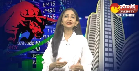 Business Analyst Karunya Rao About Budget 2024 Expectations