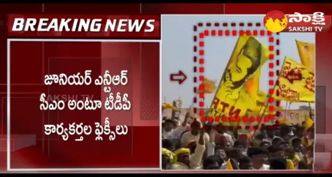 Jr NTR Banner And Flags In TDP Public Meeting 
