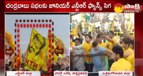 TDP Leaders Attack On NTR Fans At Chandrababu Public Meeting