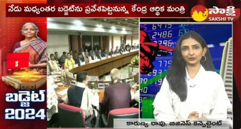 Karunya Rao Analysis On Union Budget 2024-25