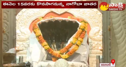 Gond Tribal Festival Nagoba Jatahara Held In Telangana