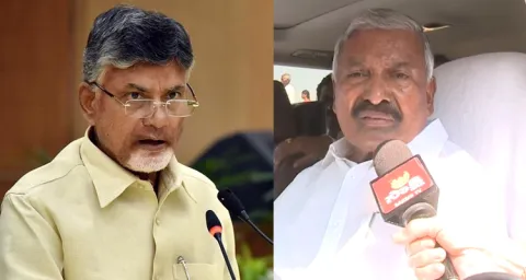 Minister Peddireddy React To Chandrababu Naidu Comments On CM YS Jagan