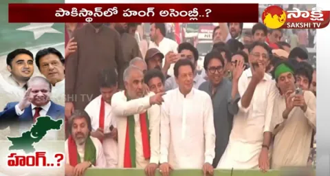 Pakistan Assembly Election Results 2024