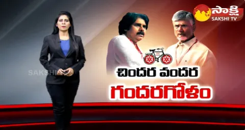 Special Story On Chandrababu Delhi Tour