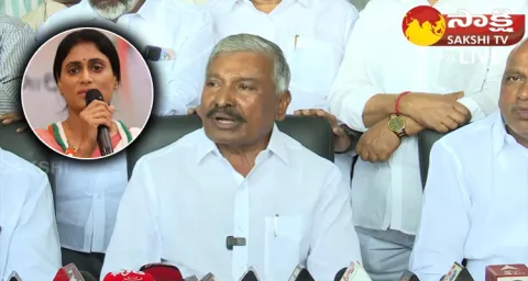 Peddireddy Ramachandra Reddy Comments On Sharmila And Congress Party 