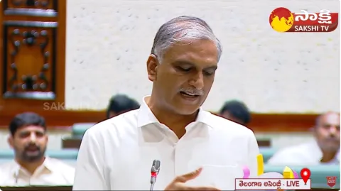  BRS MLA Harish Rao On Irrigation Projects In Telangana 