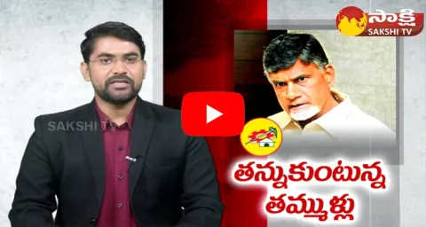 Krishna District TDP Leaders Big Shock To Chandrababu Naidu 