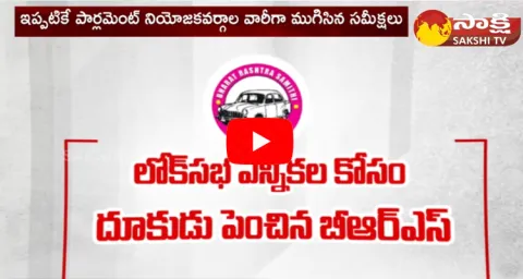 BRS Focus On Telangana Parliament Elections