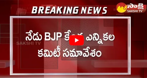 BJP Central Election Committee Meeting In Delhi 
