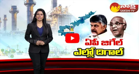 Huge Investments To AP In Jagan Government Time