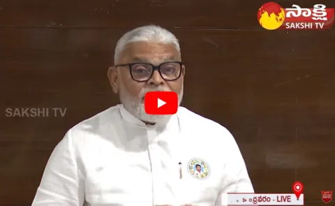 Minister Ambati Rambabu Comments On Telugu Jana Jenda Public Meeting