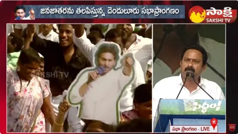 Alla Nani Speech About Pawan Kalyan Politics At CM Jagan