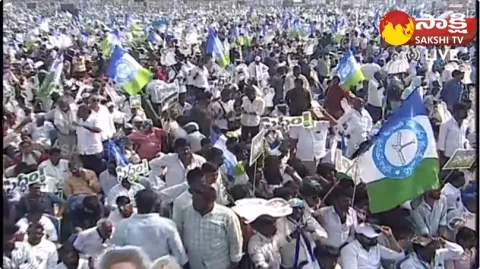 Huge Crowd at CM YS Jagan Denduluru Public Meeting