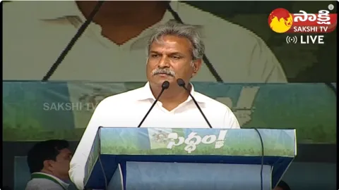 MP Kesineni Nani Speech At CM YS Jagan Denduluru Public Meeting