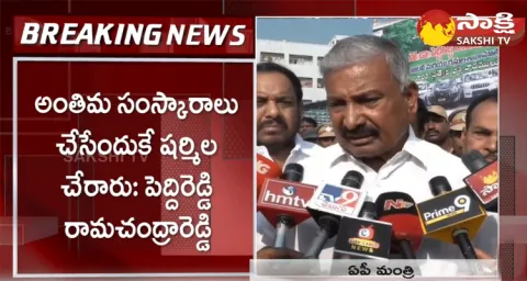 Minister Peddireddy Ramachandra Reddy Fires On YS Sharmila 