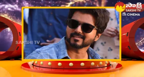Vijay Thalapathy Last 2 Movies