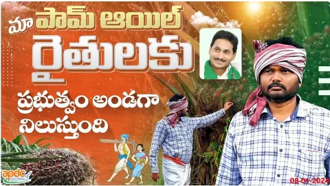 Palm Oil Farmers About CM YS Jagan In Andhra Pradesh