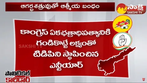 Political Corridor On TDP And Congress AP Politics