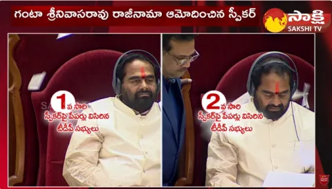 TDP Leaders Over Action In AP Assembly Session