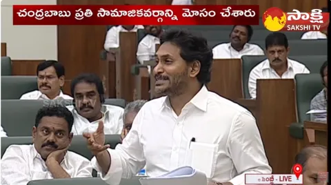 CM YS Jagan Emotional Speech In Assembly